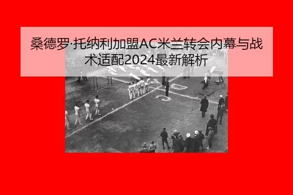 桑德罗·托纳利加盟AC米兰转会内幕与战术适配2024最新解析